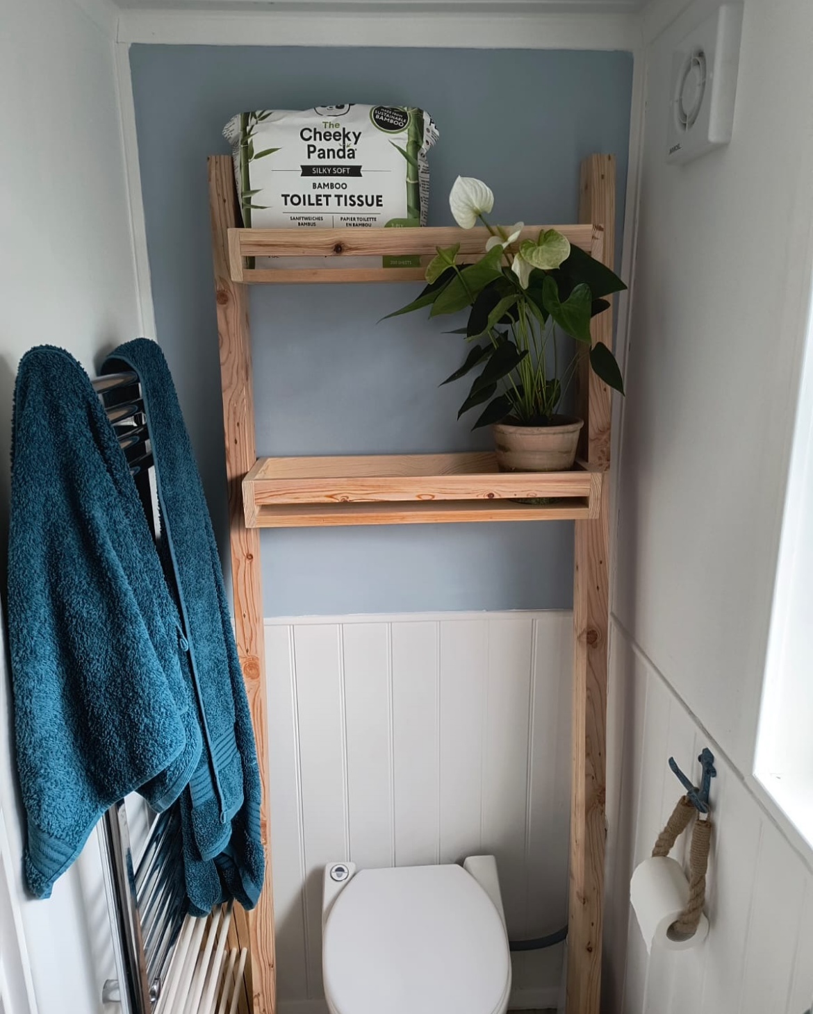 Storage Ladder